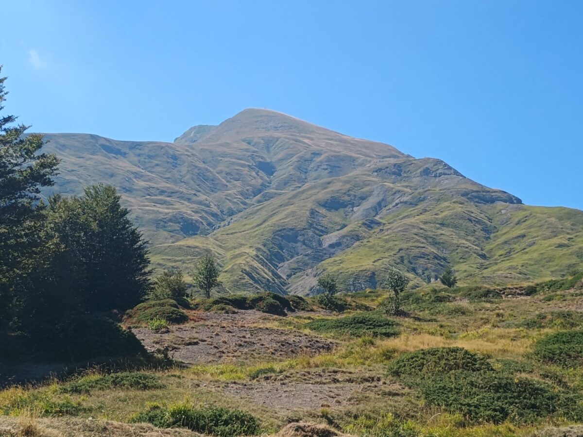 Cusna locandina