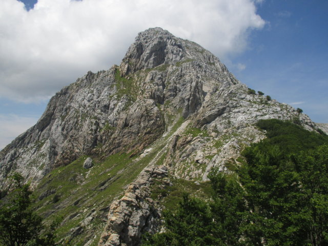 monte grondilice